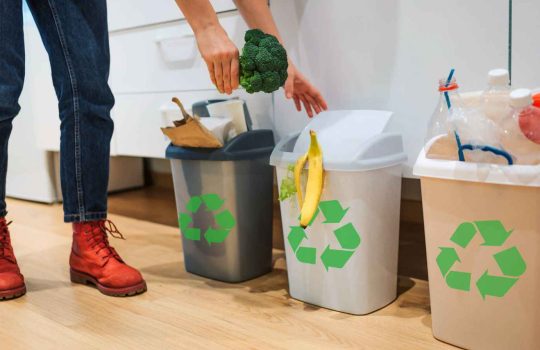 פחי אשפה מעוצבים2